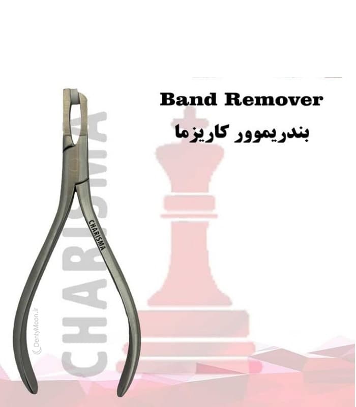 پلایر بندریموور کاریزما Charisma