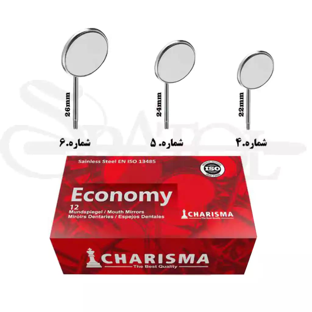 سرآینه شماره 6 کاریزما Charisma — تصویر ۳