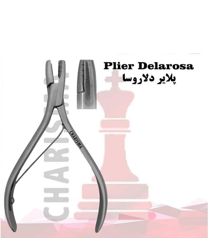 پلایر دلاروسا کاریزما Charisma