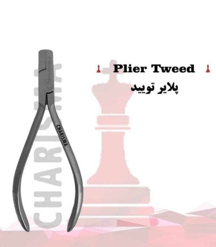 پلایر تویید کاریزما Charisma