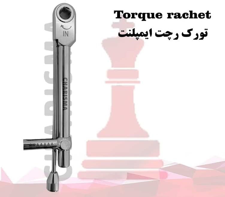 رچت ایمپلنت کاریزما Charisma — تصویر ۳