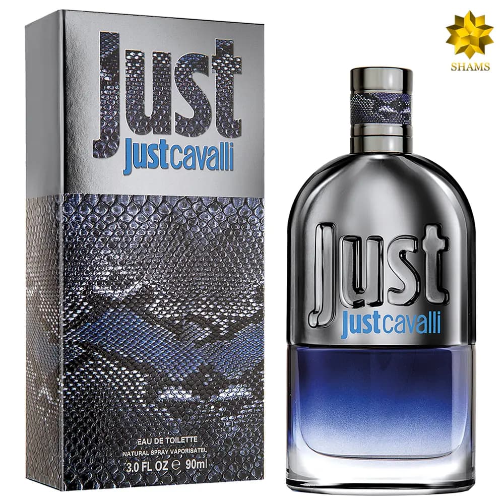 Roberto Cavalli Just Cavalli For Men Edt 90ml — تصویر ۳