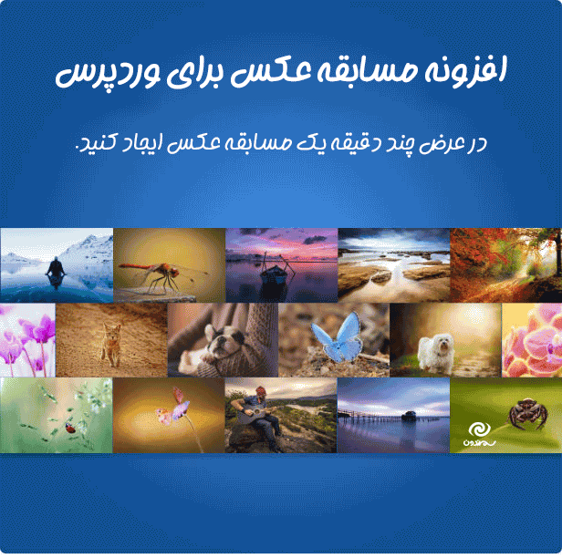 افزونه مسابقه عکس برای وردپرس | Photo Contest WordPress — تصویر ۸