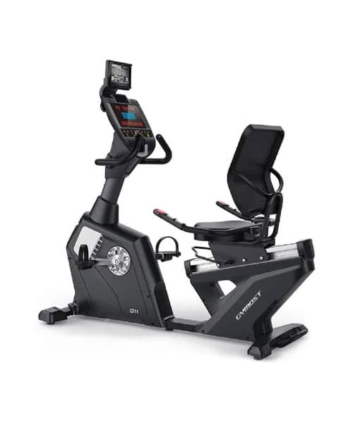 دوچرخه ثابت باشگاهی پشتی دار GYMOST مدل R11-v4
