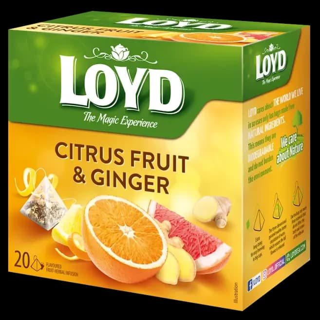 دمنوش کیسه ای لوید حاوی عصاره مرکبات و زنجبیل 20 عددی LOYD Citrus Fruit and Ginger