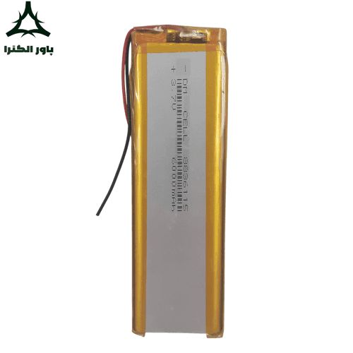 باتری لیتیوم پلیمر DM CELL 3.7V 6000mAh 8836115