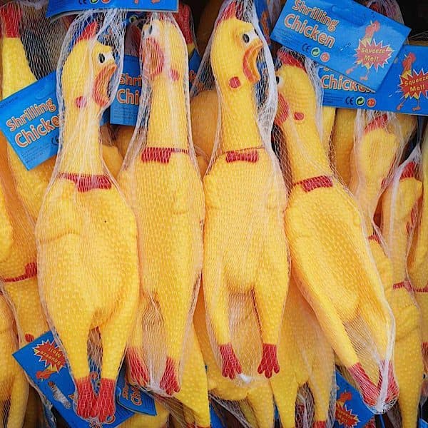 مرغ نالان سخنگو تکی و عمده — تصویر ۲