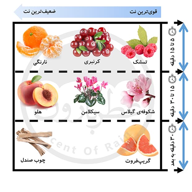 ادوپرفیوم زنانه یودیوی مینی لاو حجم 25 میلیلیتر — تصویر ۳