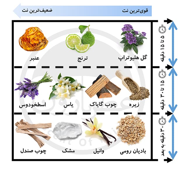 ادوپرفیوم مردانه ورسای کاوالو حجم 75 میلی‌لیتر — تصویر ۵