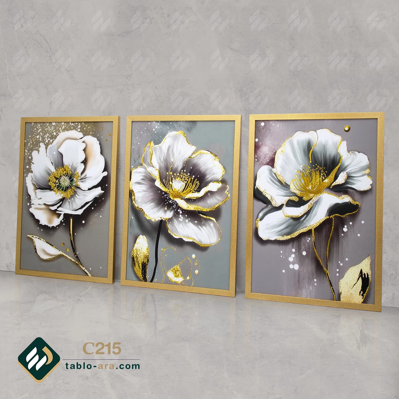 مجموعه تابلو دکوراتیو سه عددی کد C215