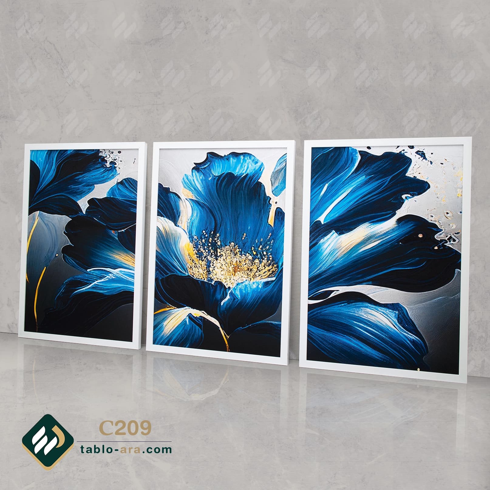 مجموعه تابلو دکوراتیو سه عددی کد C209