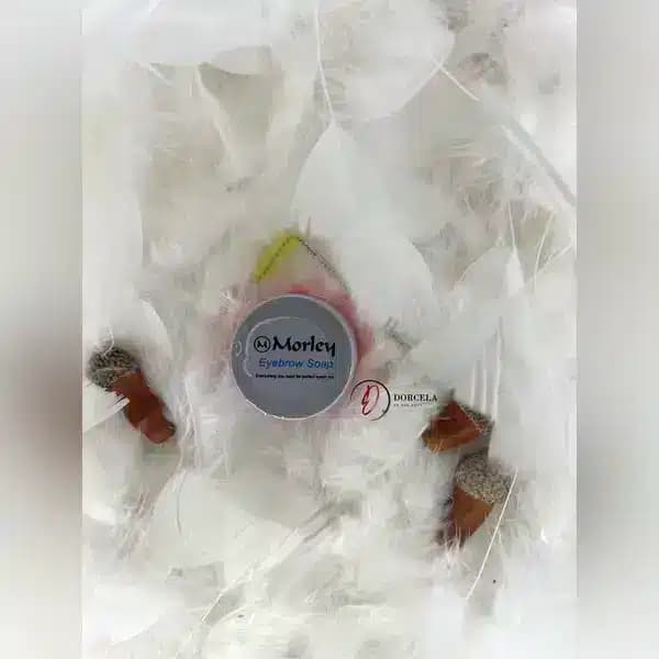 ژل لیفت ابرو مورلی کاسه ای 25 میل اصل