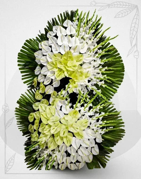 تاج گل طلوع سفید