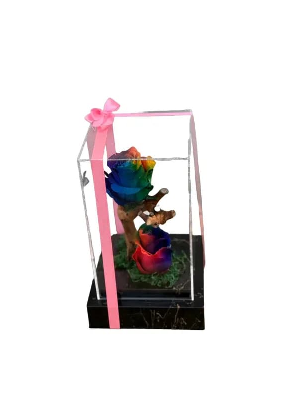 گل رز جاودان هفت رنگ دو گل کد JV-4 – فروشگاه گل کارا | Kara Flower