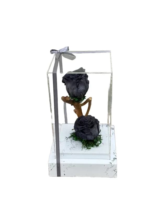 گل رز جاوان مشکی دو گل کد JV-1 – فروشگاه گل کارا | Kara Flower — تصویر ۳