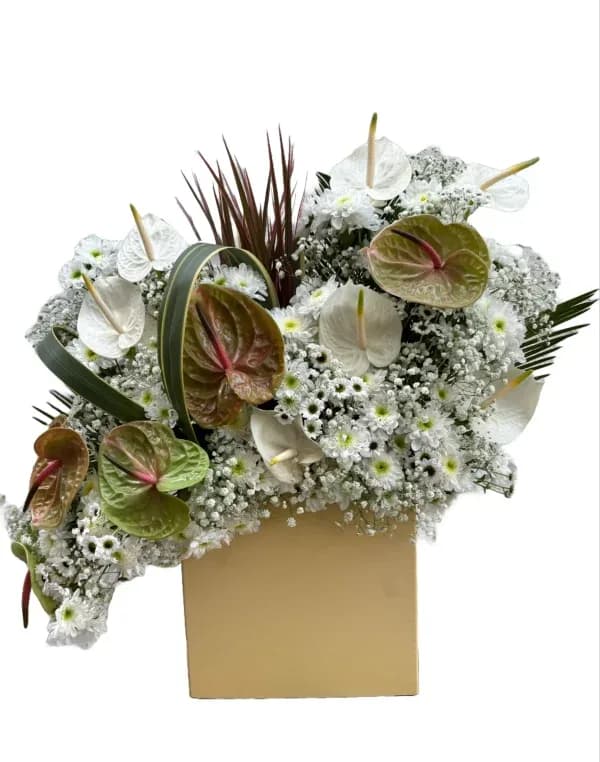 باکس پولیشی استوانه مستطیل کرم رنگ کد b-136 – فروشگاه گل کارا | Kara Flower — تصویر ۲