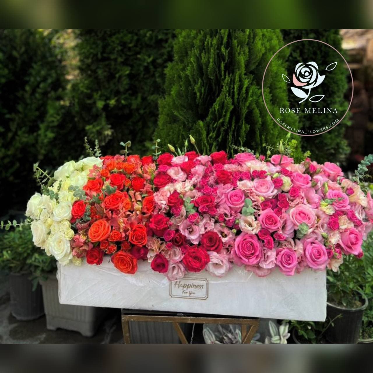 باکس گل رزترکیبی مدل دانیال — تصویر ۳