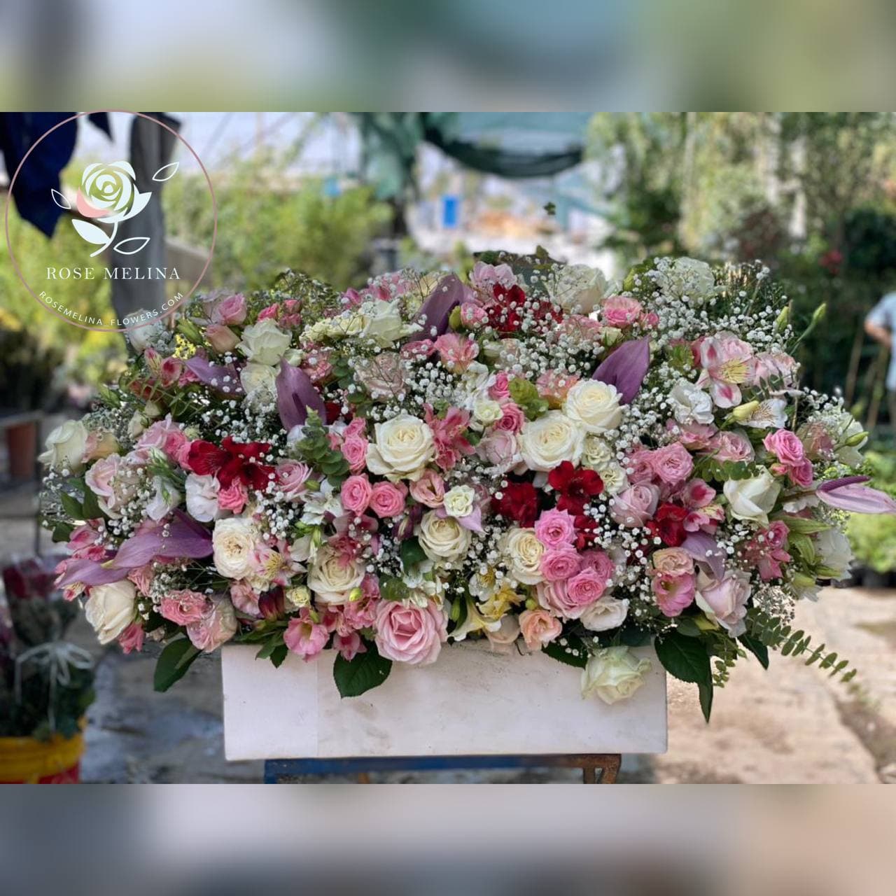 باکس گل پرنس — تصویر ۳