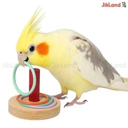 اسباب بازی عروس هلندی، طوطی، فنج، مرغ عشق، کوتوله و… مدل حلقه بازی — تصویر ۳