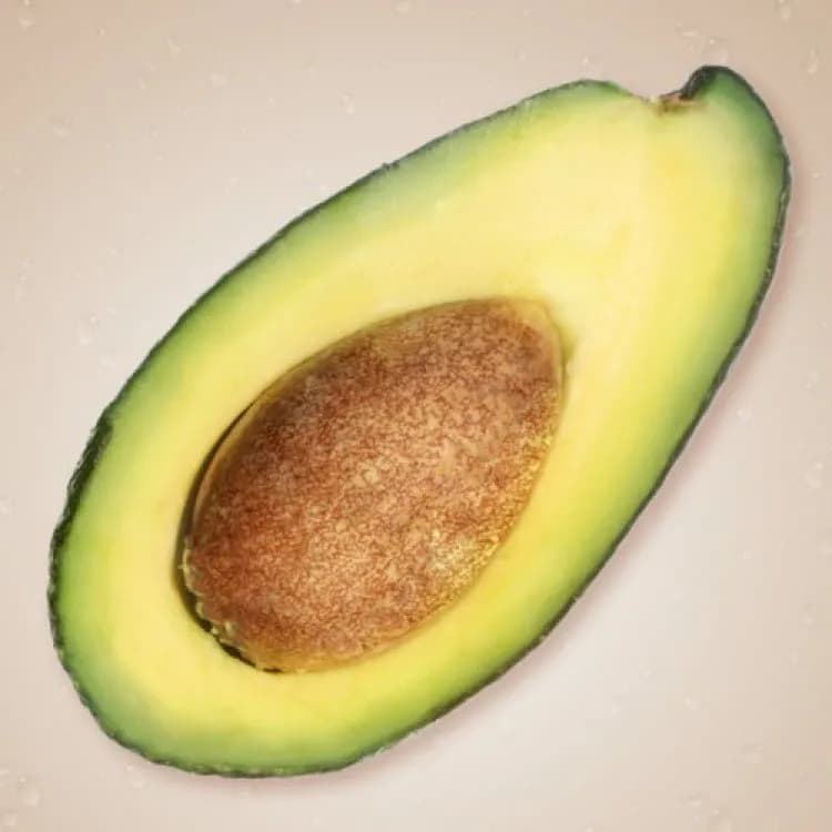 کرم تیوپی ارکو حاوی روغن آووکادو حجم 60 میلی — تصویر ۵