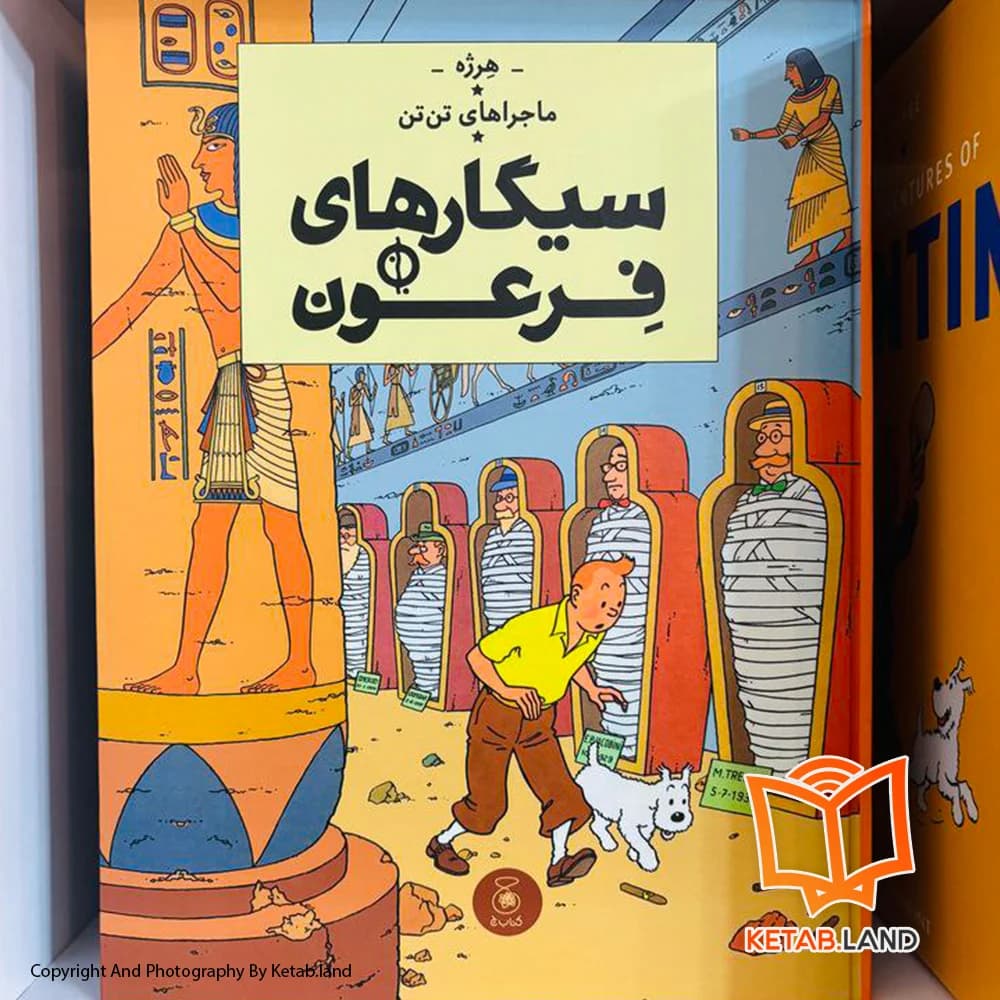 کتاب ماجراهای تن تن سیگارهای فرعون 4 — تصویر ۶