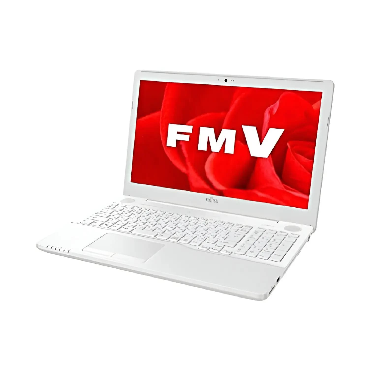لپ تاپ فوجیتسو Fujitsu Lifebook AH50/B3 استوک — تصویر ۳