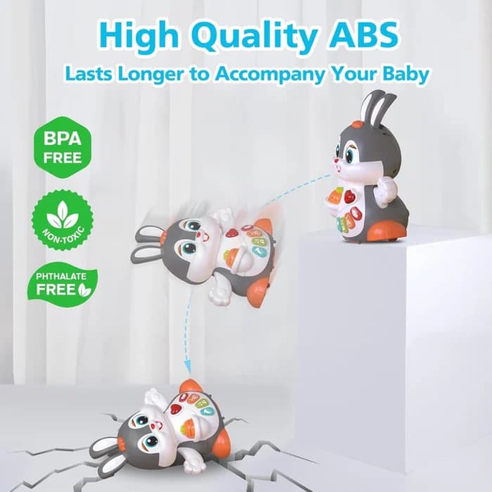 خرگوش موزیکال Dancing Bunny HE9991 هولی تویز Huile Toys — تصویر ۱۲