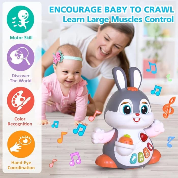 خرگوش موزیکال Dancing Bunny HE9991 هولی تویز Huile Toys — تصویر ۷