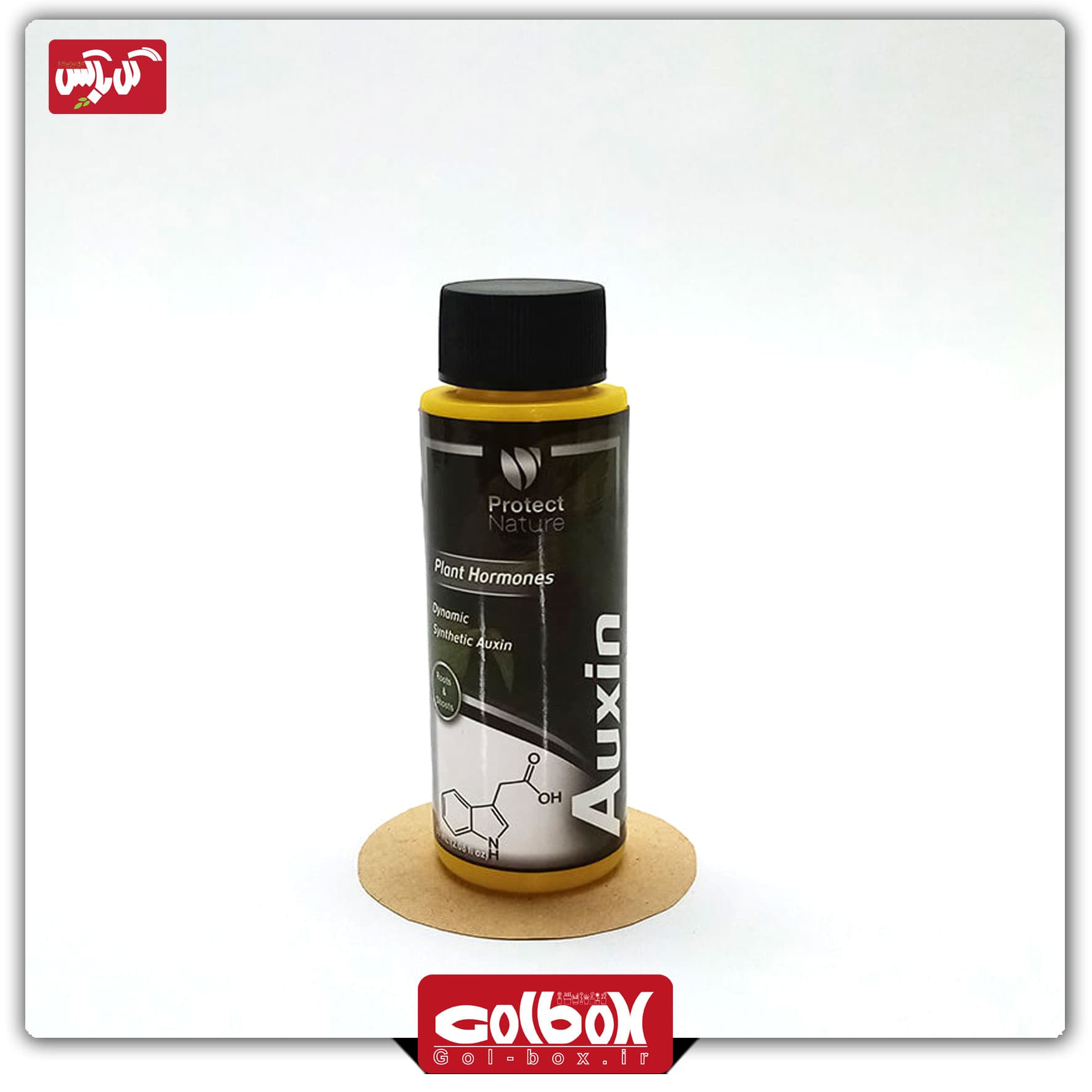 هورمون اکسین Auxin — تصویر ۲