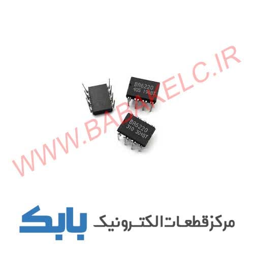 گل سینگونیوم مخملی ‎ — تصویر ۷
