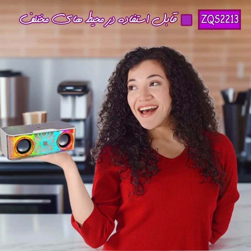 اسپیکر ZQS 2213 — تصویر ۸