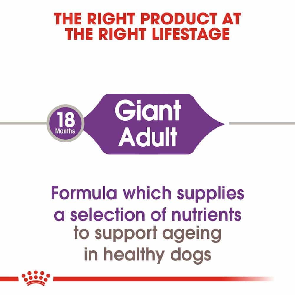 غذای خشک سگ بالغ رویال کنین مدل Giant Adult نژاد خیلی بزرگ — تصویر ۷