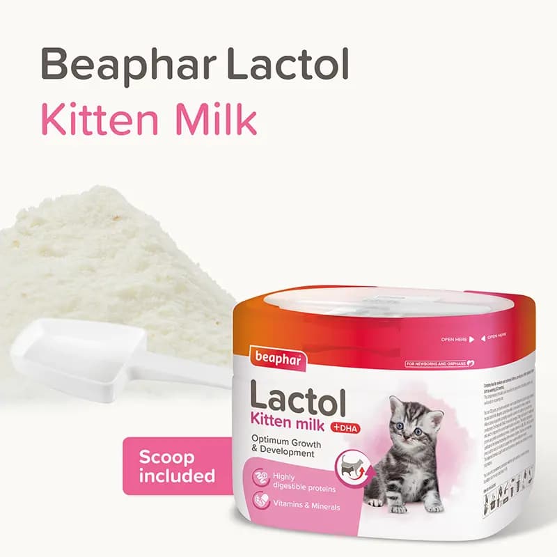 شیر خشک بچه گربه بیفار مدل Lactol وزن ۲۵۰ گرم — تصویر ۸