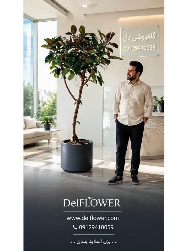 سفارش آنلاین دسته 84A863