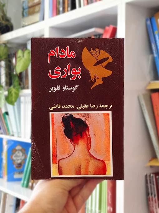 مادام بواری — تصویر ۲