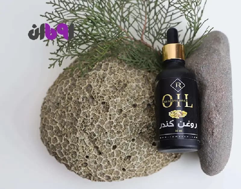 یدک تی ماکارونی چینی — تصویر ۷