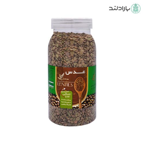 عدس سبز ارگانیک چتر گندمی 700 گرم