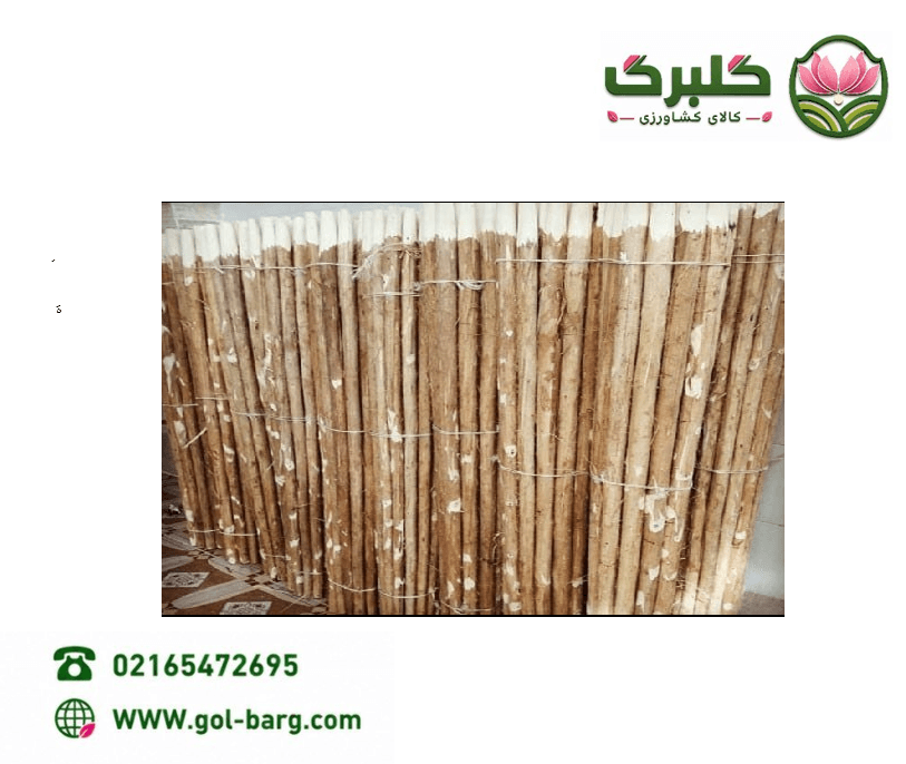 دسته بیل ریش اصفهان — تصویر ۴
