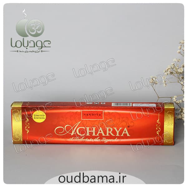 عود دست ساز آچاریا ACHARYA (ناندیتا Nandita) — تصویر ۲