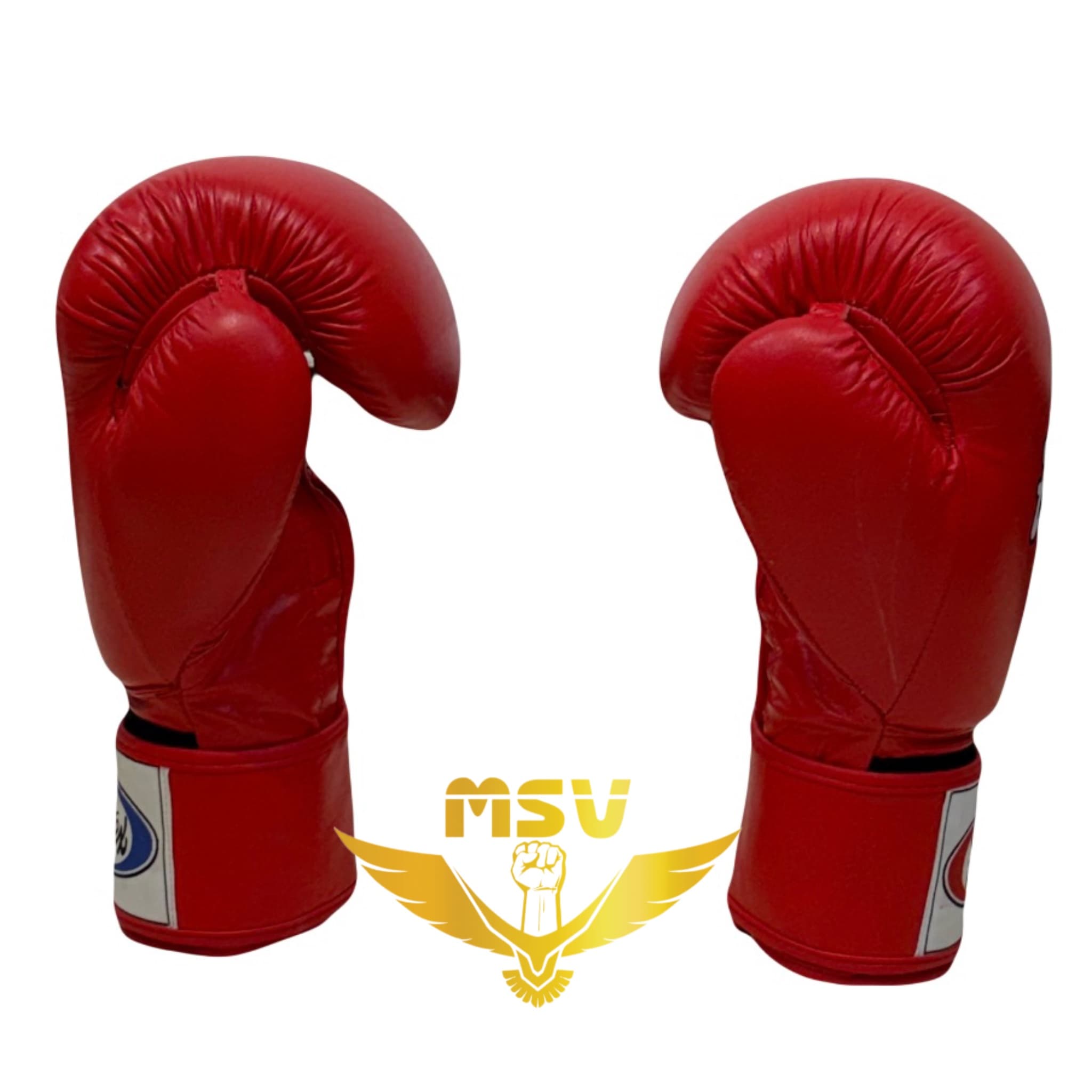 دستکش بوکس چرم فرتکس FAIRTEX — تصویر ۱۲