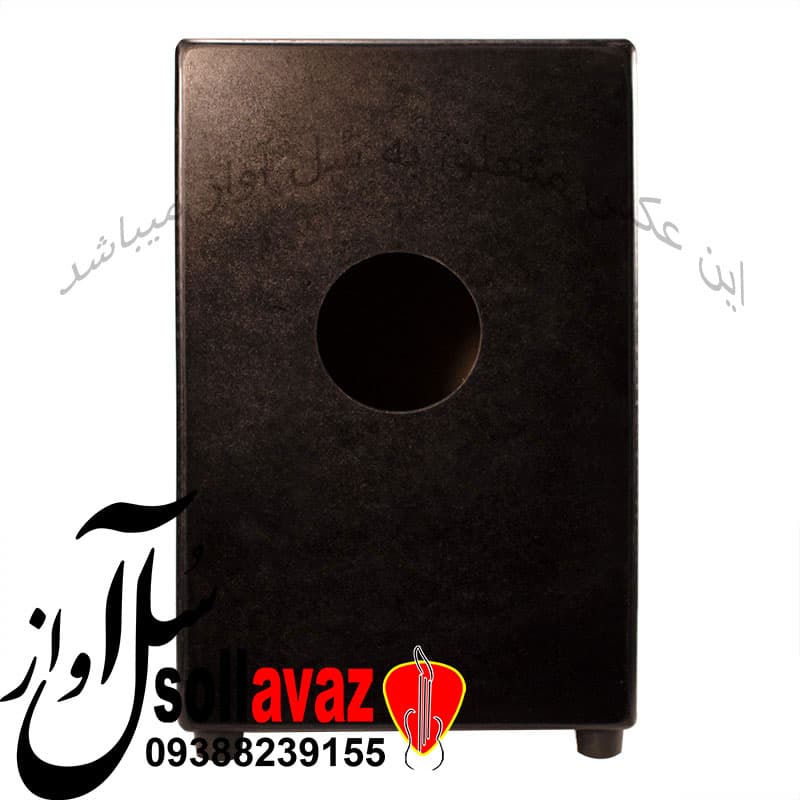 کاخن Remo طرح گیتار — تصویر ۸