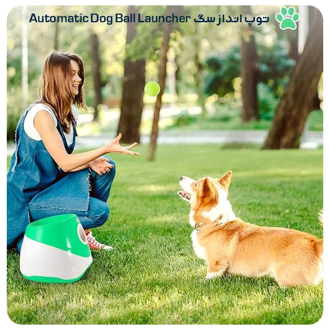 توپ انداز سگ Automatic Dog Ball Launcher — تصویر ۸