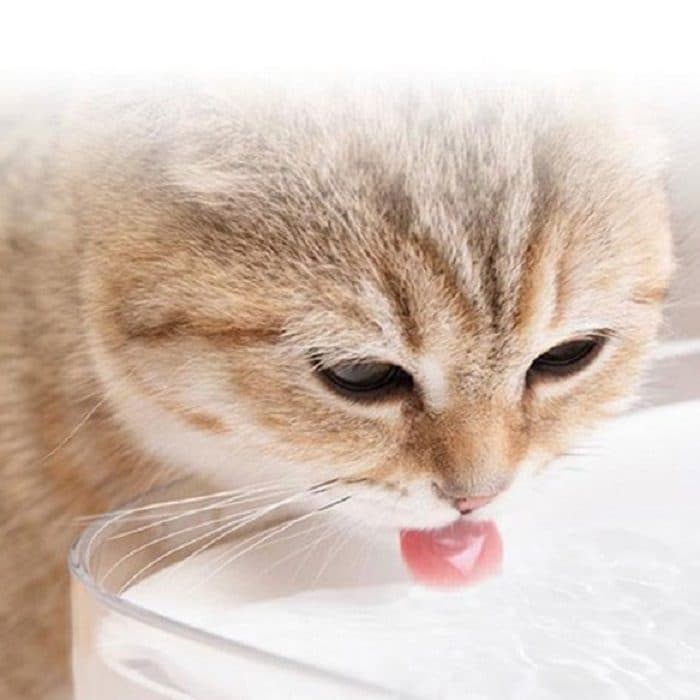 آبخوری حیوانات Xiaomi smart pet fountain — تصویر ۷