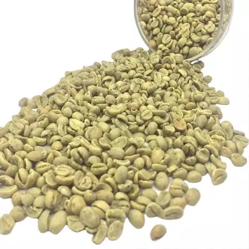 قهوه خام نسابیده درجه 1 500گرم — تصویر ۲