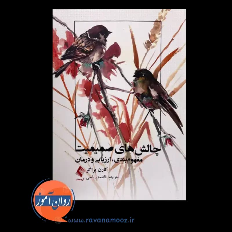 چالش های صمیمیت؛ مفهوم بندی، ارزیابی و درمان – کارن پراگر — تصویر ۳