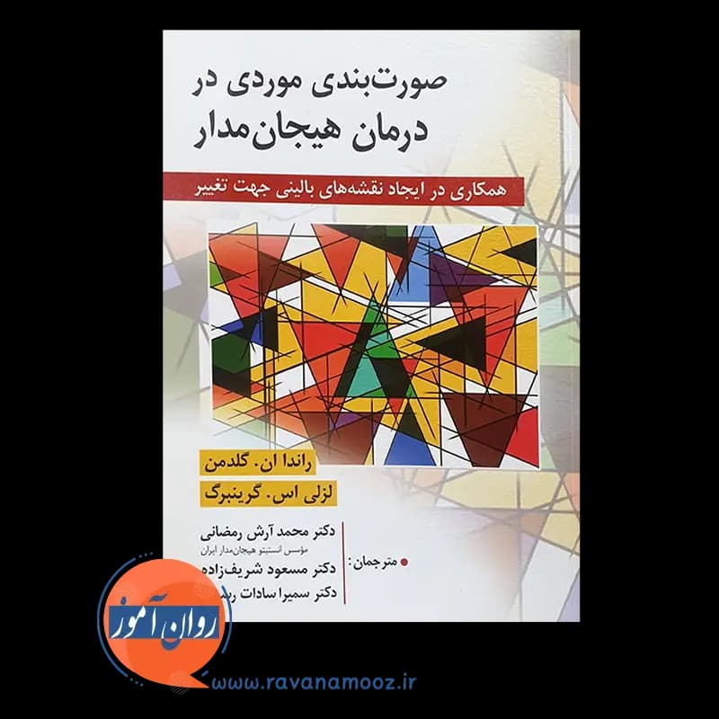 صورت بندی موردی در درمان هیجان مدار – راندا ان گلدمن — تصویر ۶