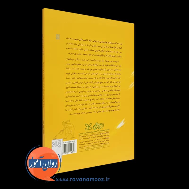 رویکرد توان بخشی به زندگی توام با افسردگی مزمن – دیوید لوین — تصویر ۴