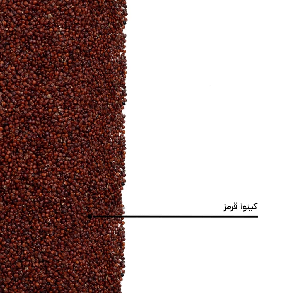 دانه کینوا قرمز — تصویر ۵