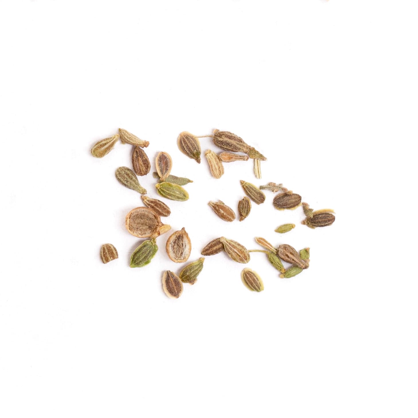 دانه انیسون (بادیان رومی) — تصویر ۴