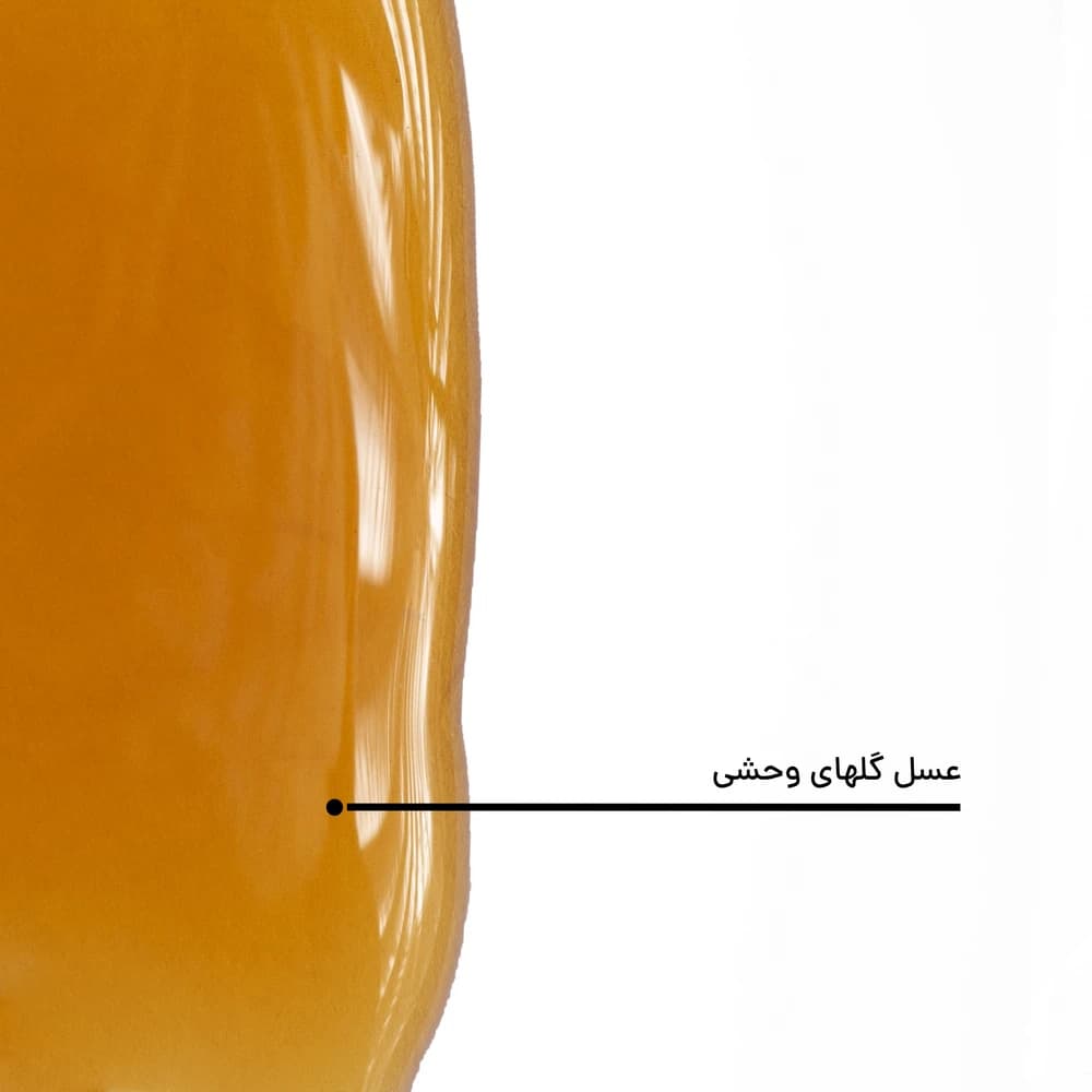 عسل گل های وحشی — تصویر ۷